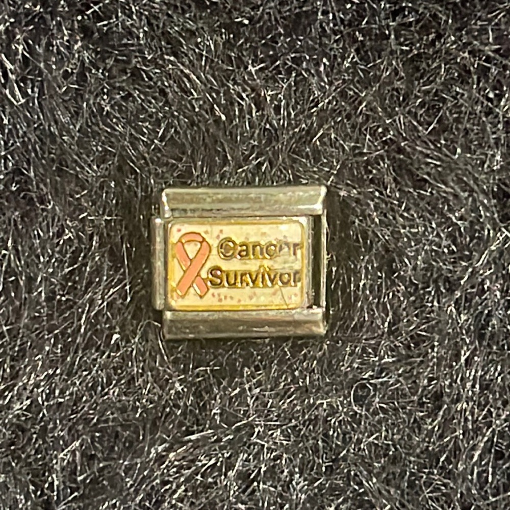 Stainless Steel Pink Ribbon Cancer Survivor link for steel bracelet